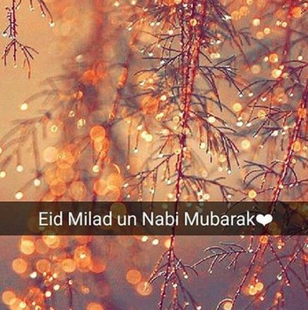 Eid-e-Milad-Un-Nabi 2020: Wishes, messages, images to send over WhatsApp, SMS, Facebook, and Instagram