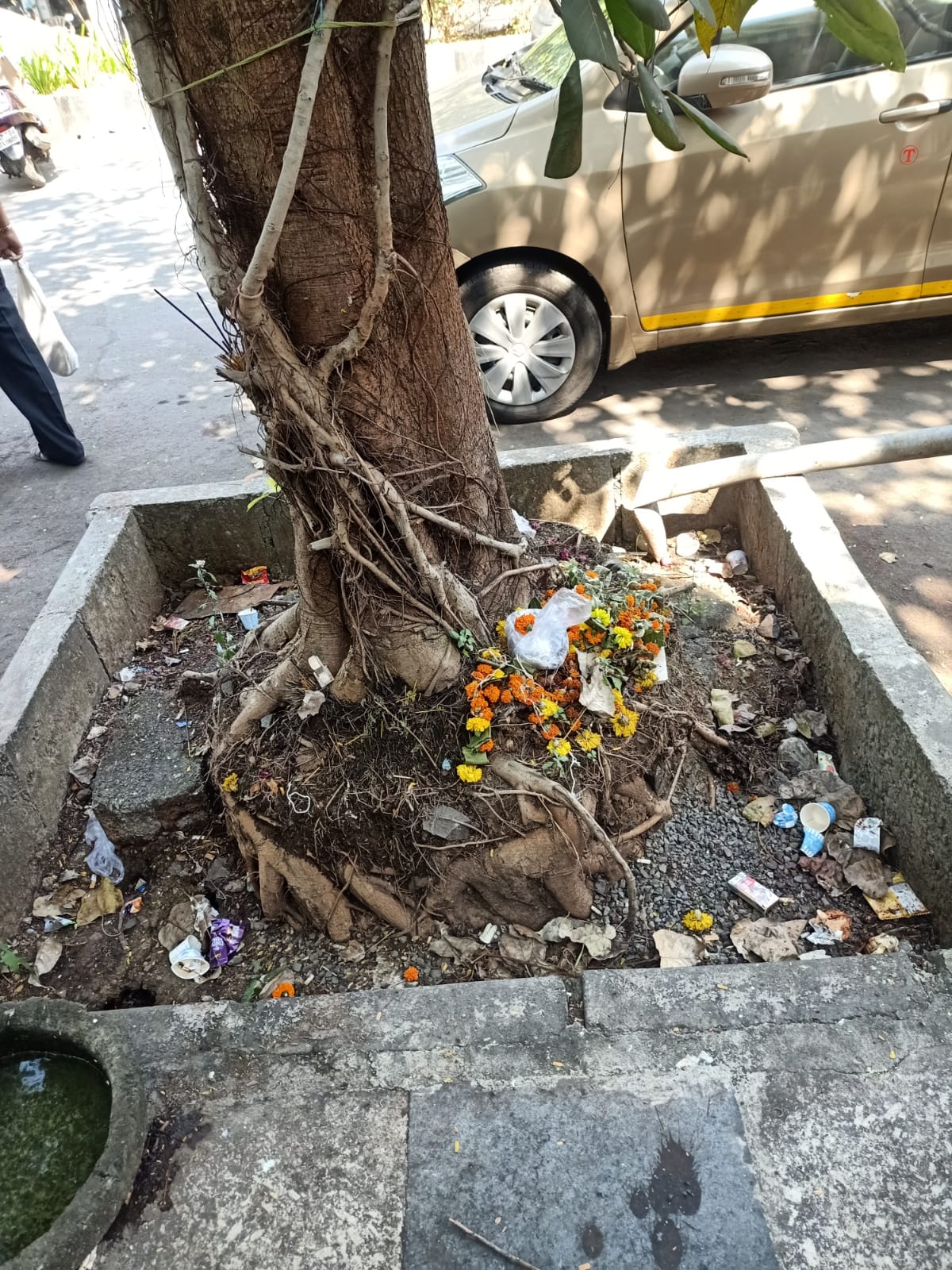 In Pictures: Tree guards turn garbage dumps in Bhayandar