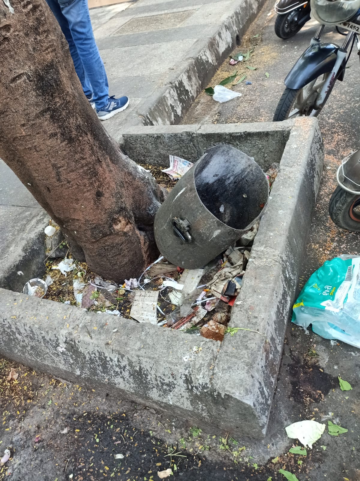 In Pictures: Tree guards turn garbage dumps in Bhayandar