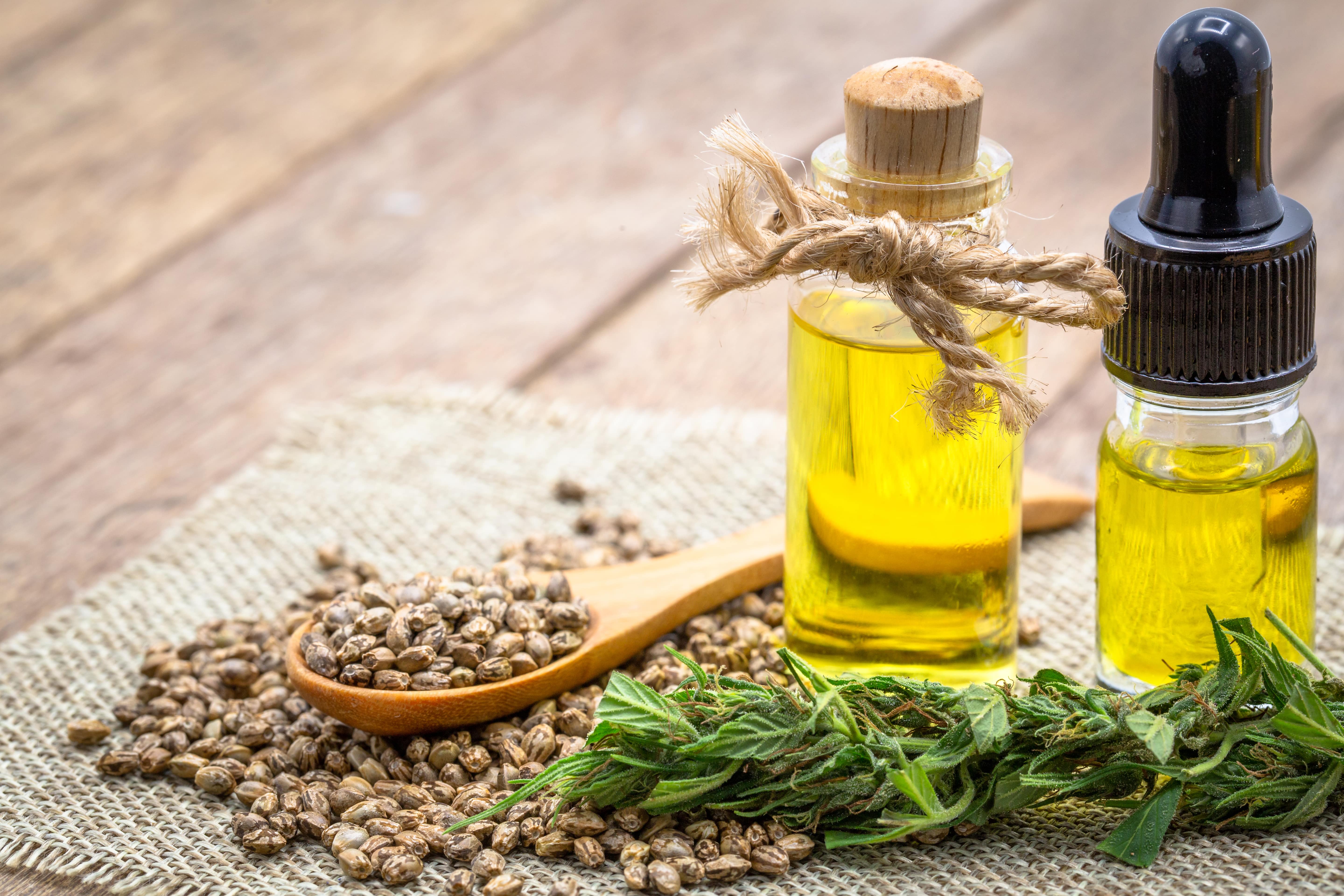 'Oil' is well: Here's how hemp seed oil can keep your pet happy and healthy