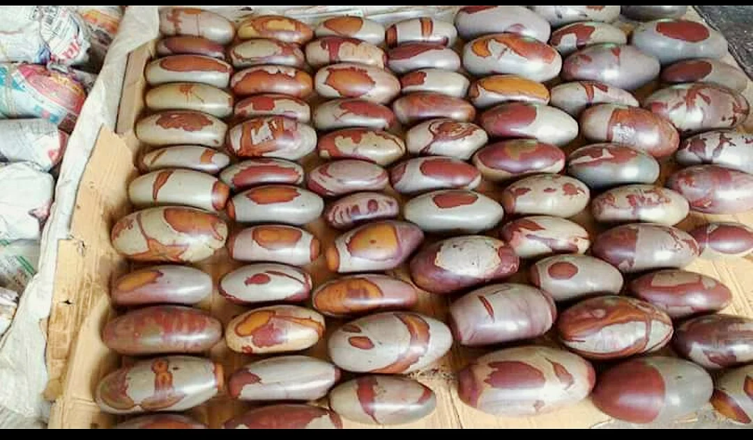 Madhya Pradesh: ‘Shivji! Please help us sustain through this difficult period,’ cry Shivling manufacturers