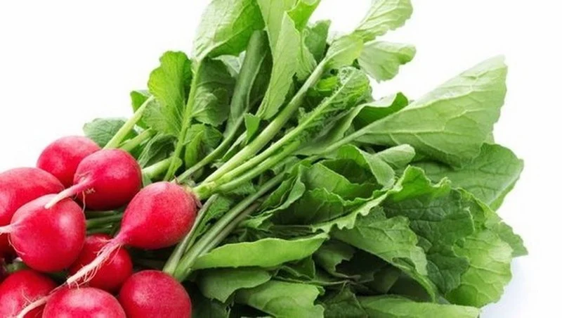 Foods that can help prevent your hair fall
