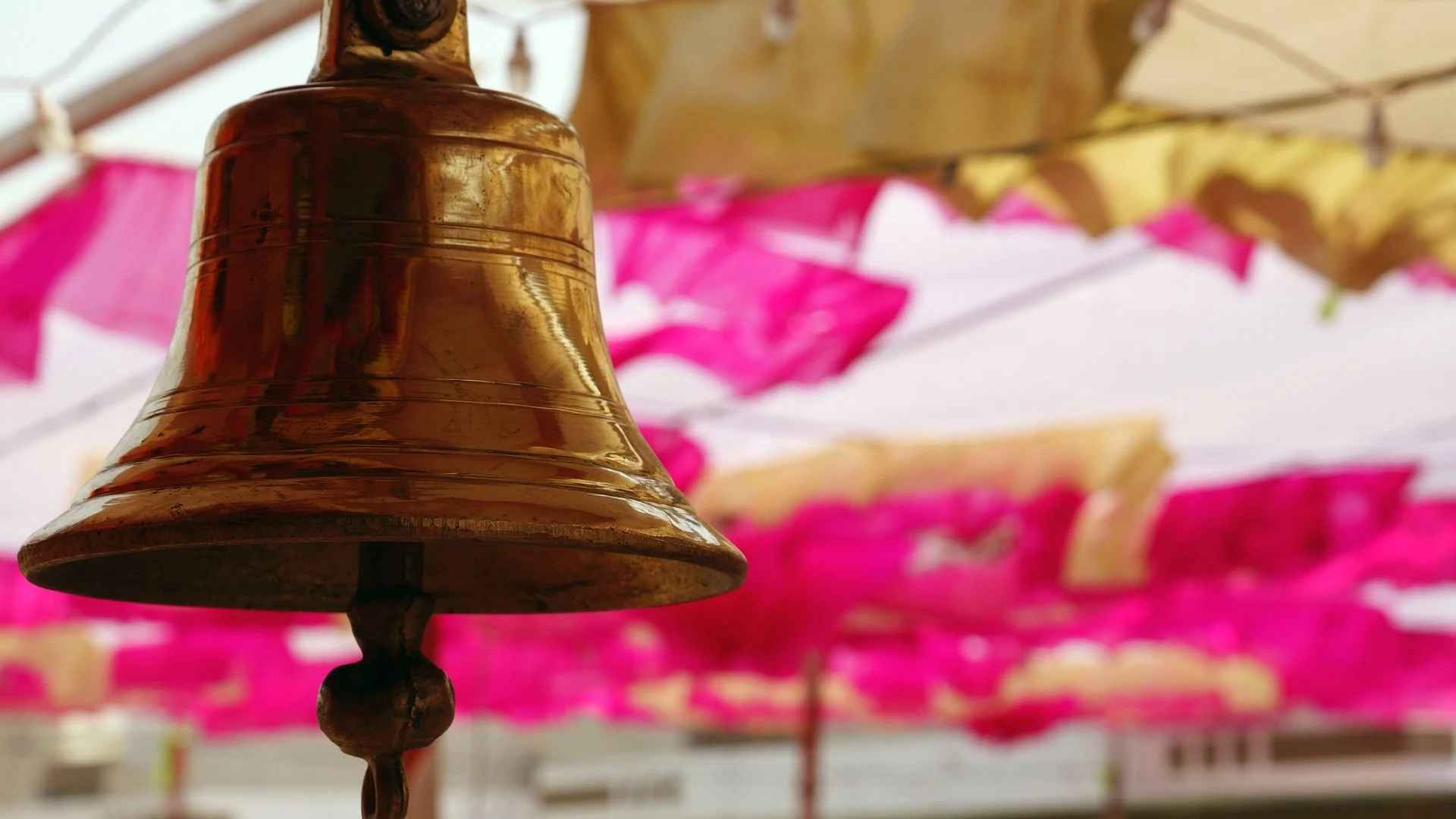 Analysis: Here's what the Supreme Court and High Courts of India had to say this week