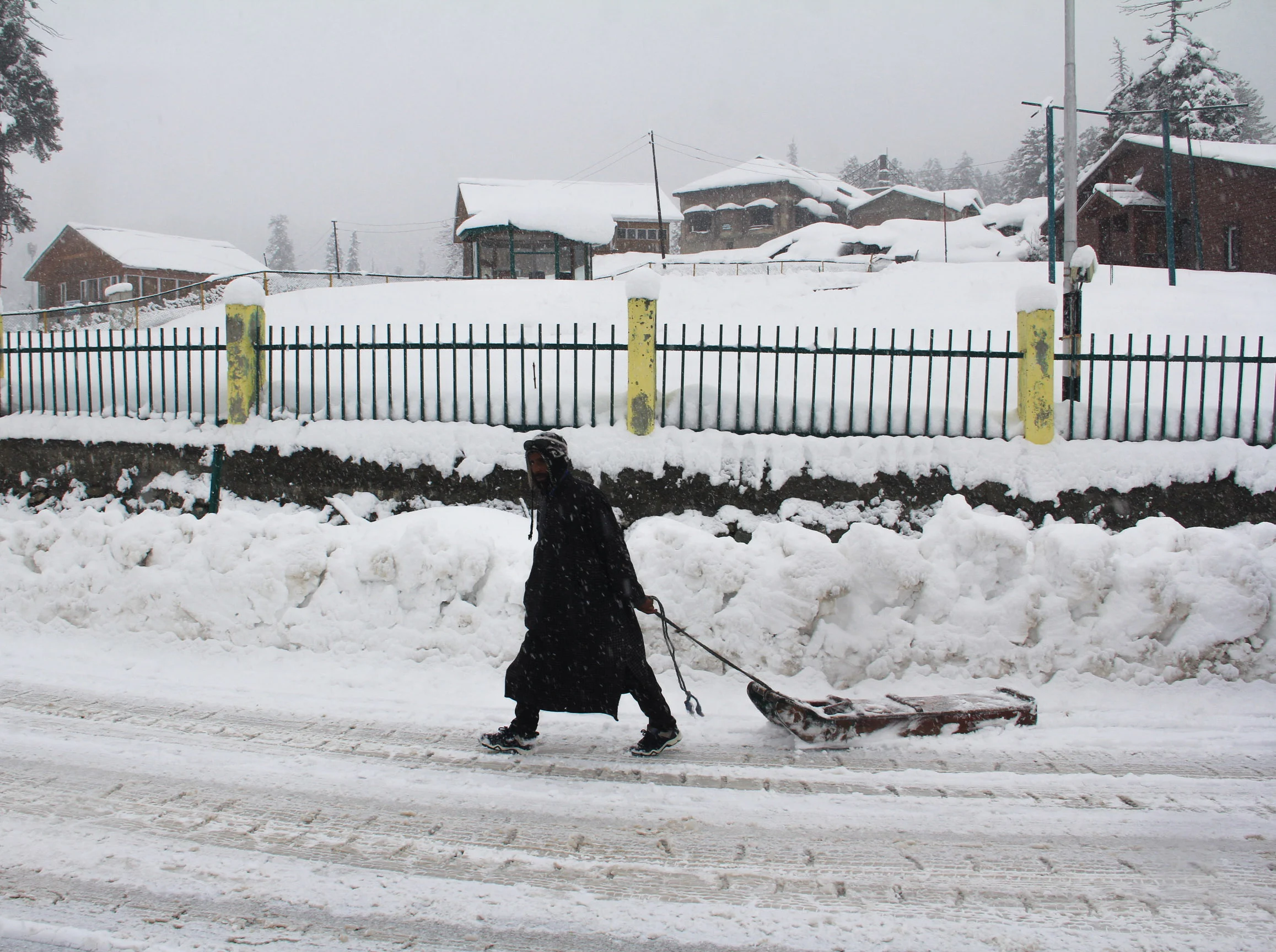 Tourists take sledge ride during fresh snowfall in Ski Resort Gulmarg, Kashmir.