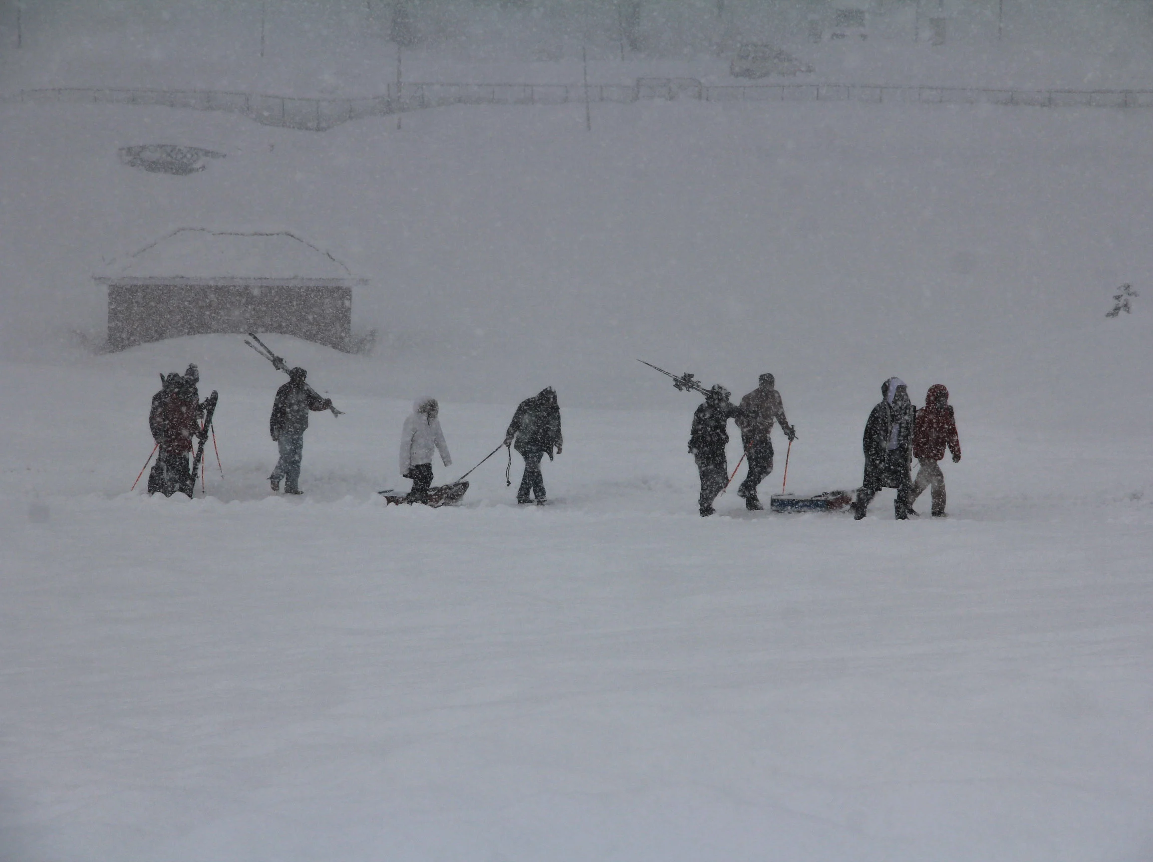 Tourists take sledge ride during fresh snowfall in Ski Resort Gulmarg, Kashmir.