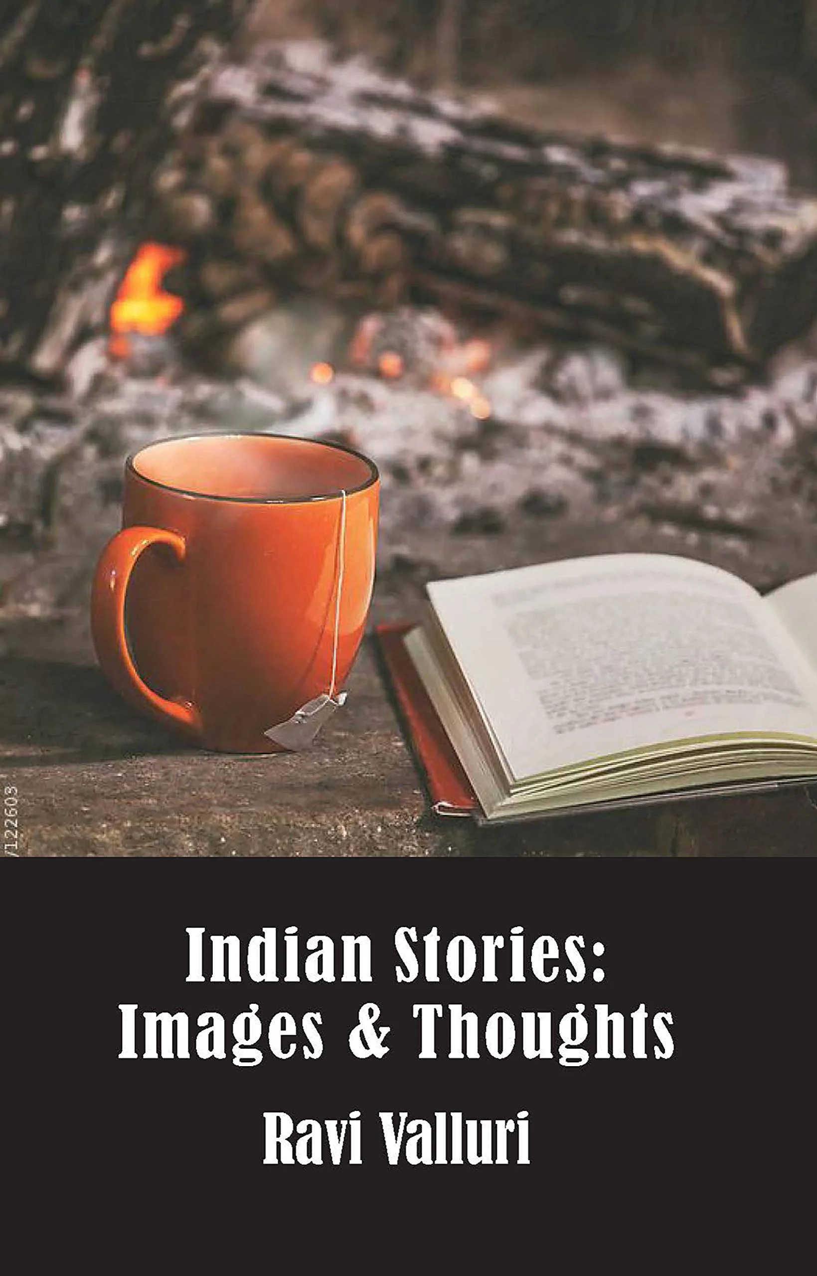 Indian Stories: Images & Thoughts review: Casts a magic spell on readers!