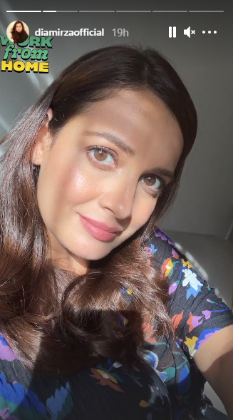 Dia Mirza's Instagram story