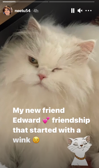 Neetu Kapoor's Instagram story