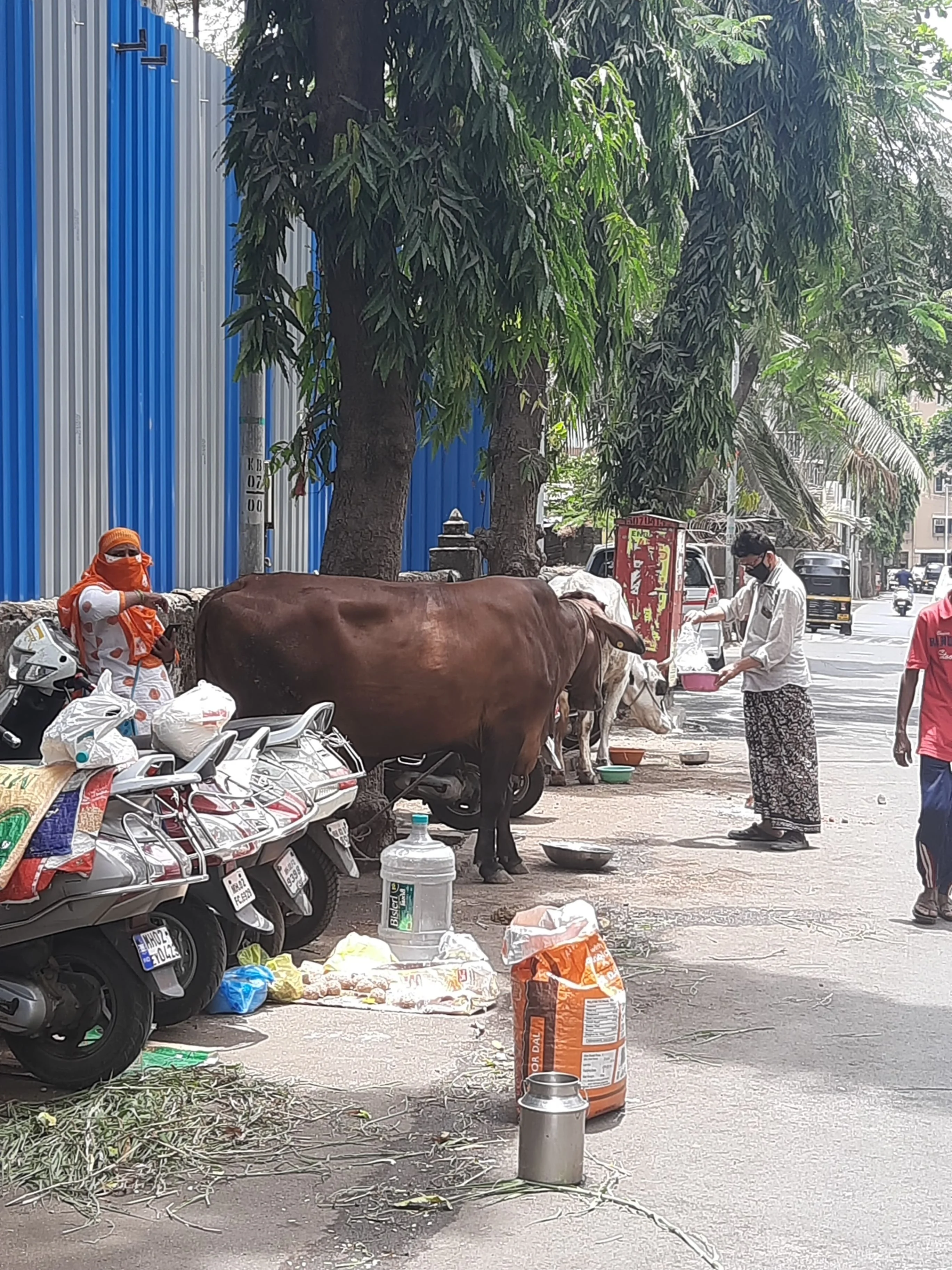 Scenes from a lane off Barfiwala Road in Andheri amidst lockdown in Mumbai. Currently, citizens are directed to not step out of their houses unless necessary.