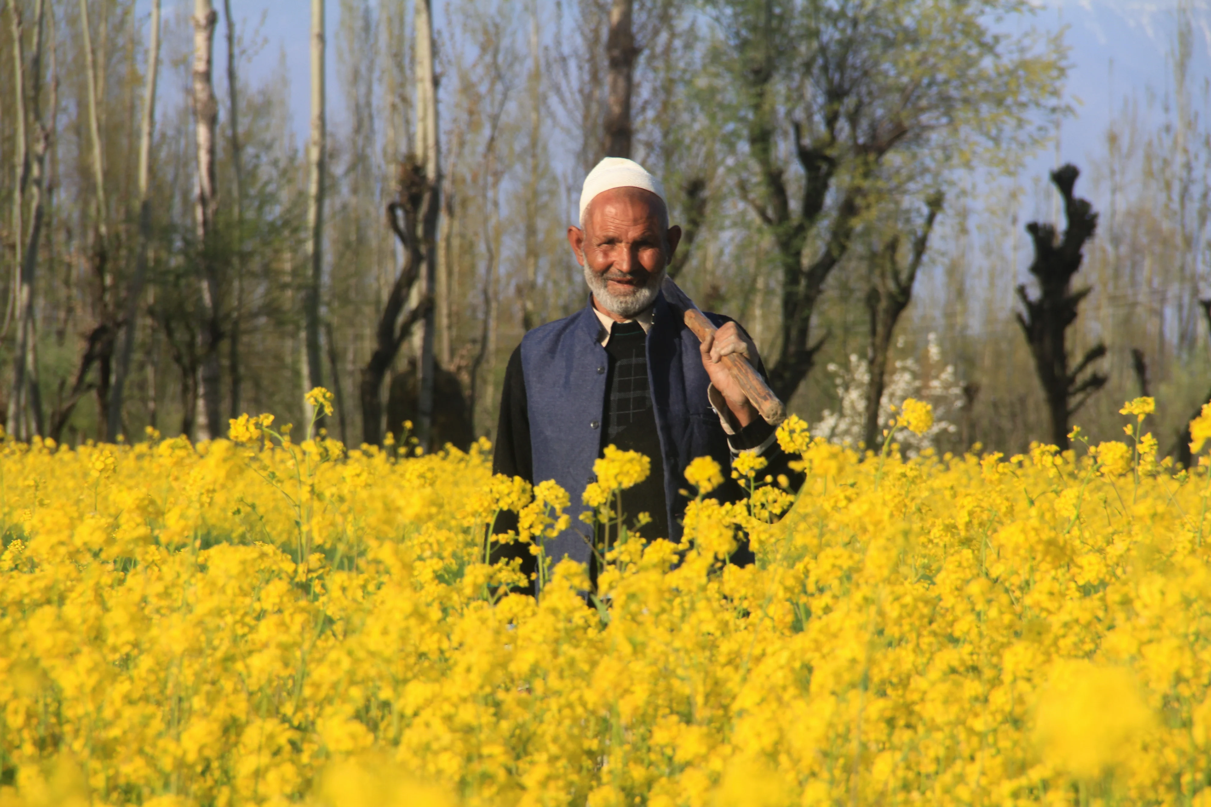 Old Kashmiri man poses for a picture in the blooming mustard fields on the outskirts of Srinagar, Kashmir.