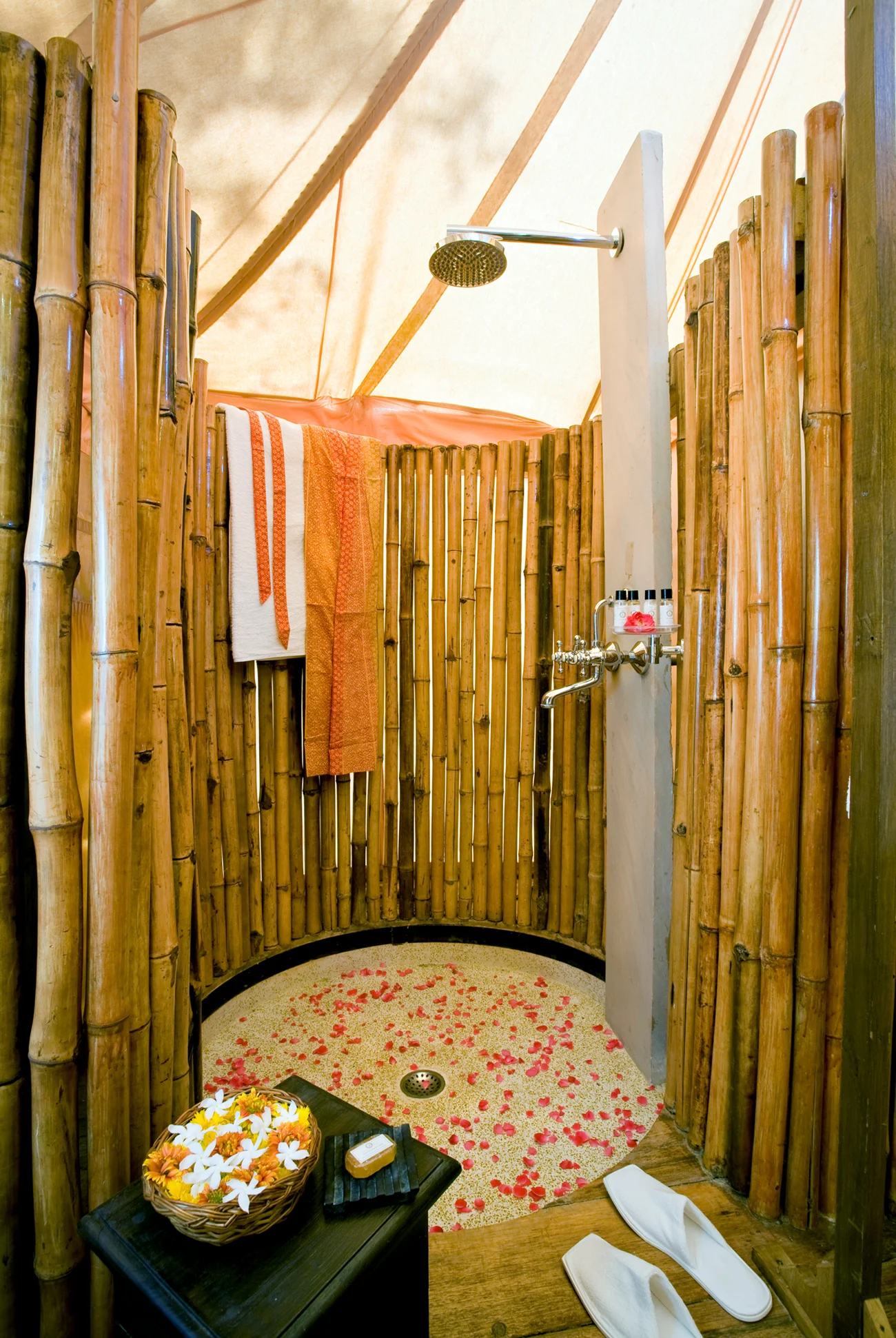Travel trends: Four best glamping spots in India where you should definitely go for a rich and rustic retreat!