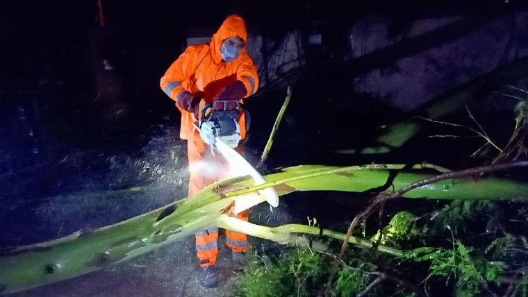 NDRF personnel clear a fallen tree from a road as they carry out restoration works