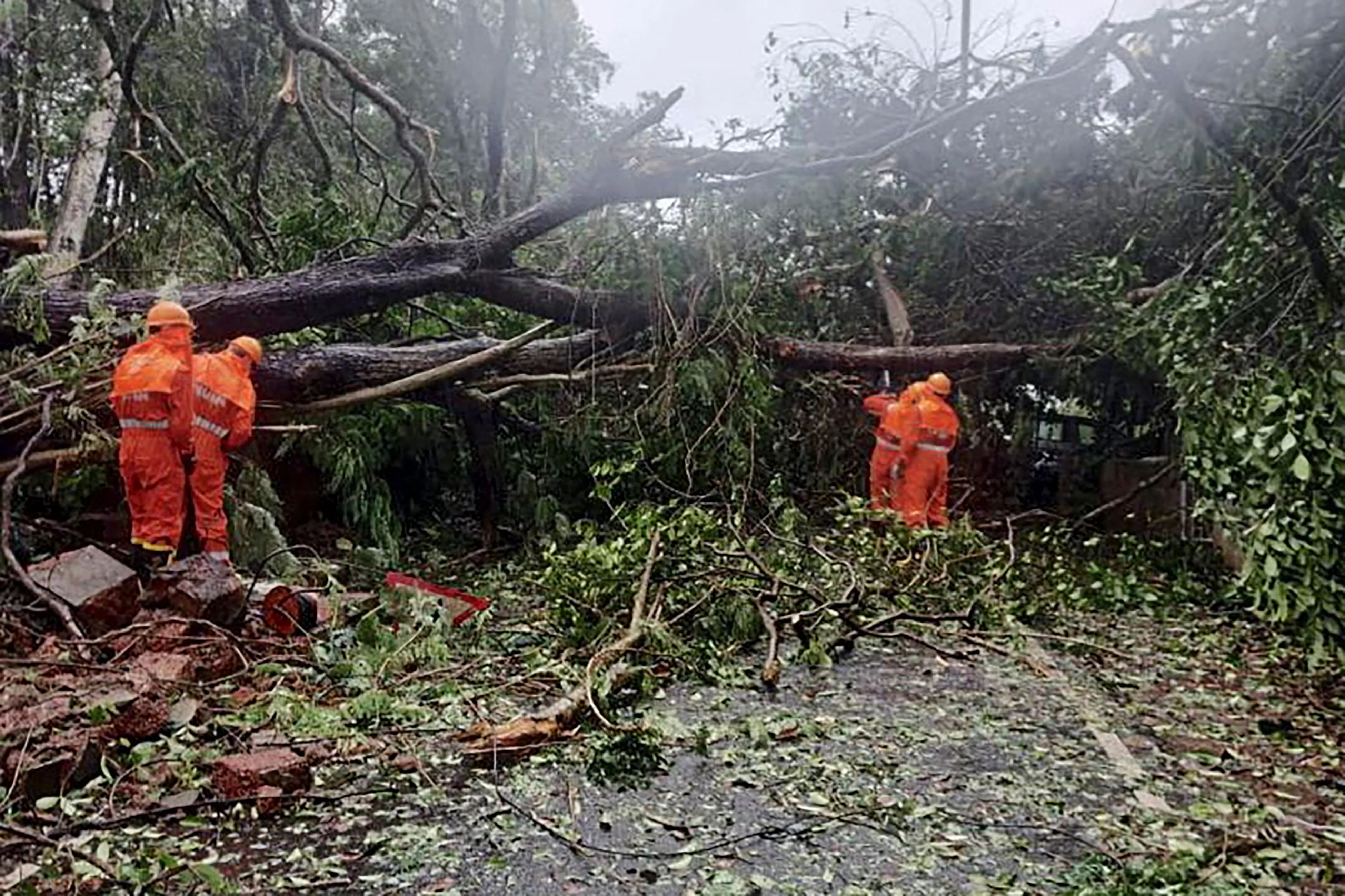 This handout photo released on May 16, 2021 by the National Disaster Response Force (NDRF) shows National Disaster Response Force (NDRF) personnel clearing fallen trees from a road following severe cyclonic storm Tauktae at Margao in Goa.