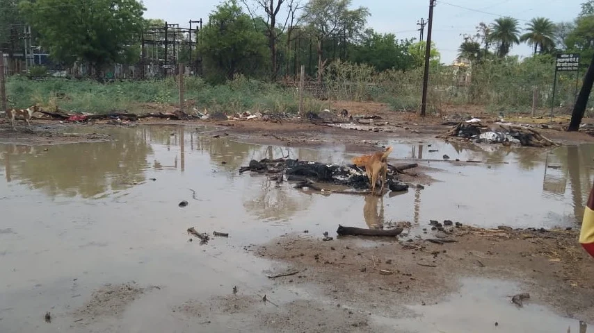 Neemuch: Rain douses pyres, stray dogs feed on half-burnt Covid bodies
