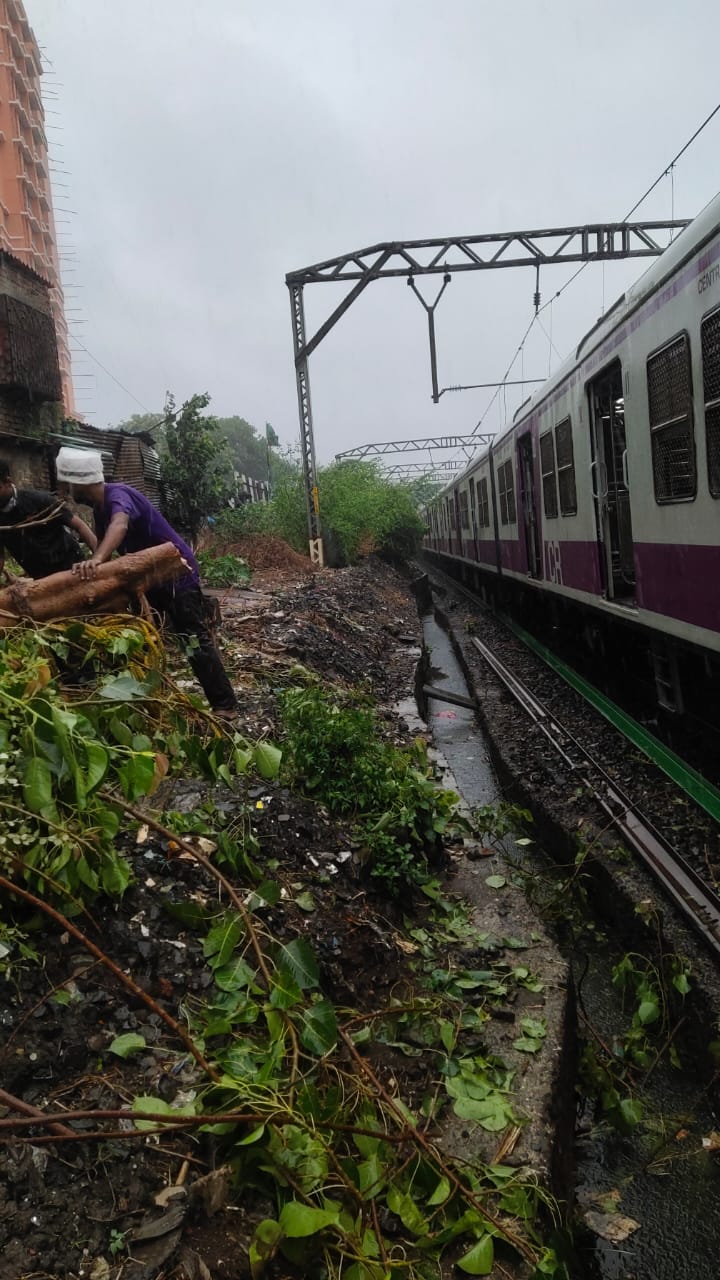 Mumbai: Latest updates - Cyclone Tauktae to COVID-19