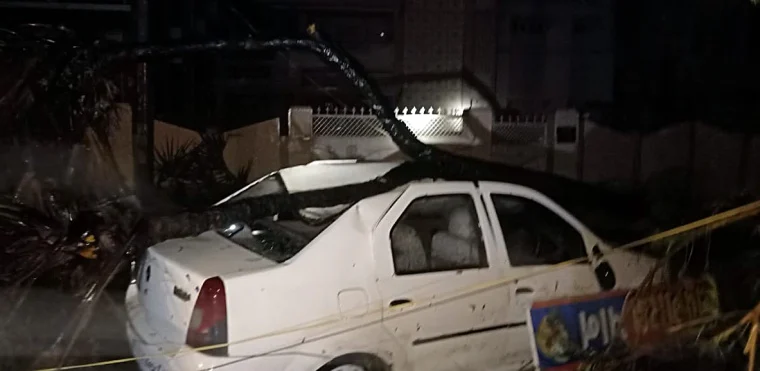 A car damaged by an uprooted tree aftermath of Cyclone Tauktae