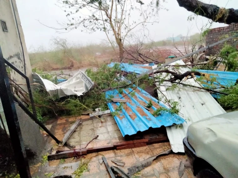 Several Trees uprooted the aftermath of Cyclone Tauktae, in Amreli