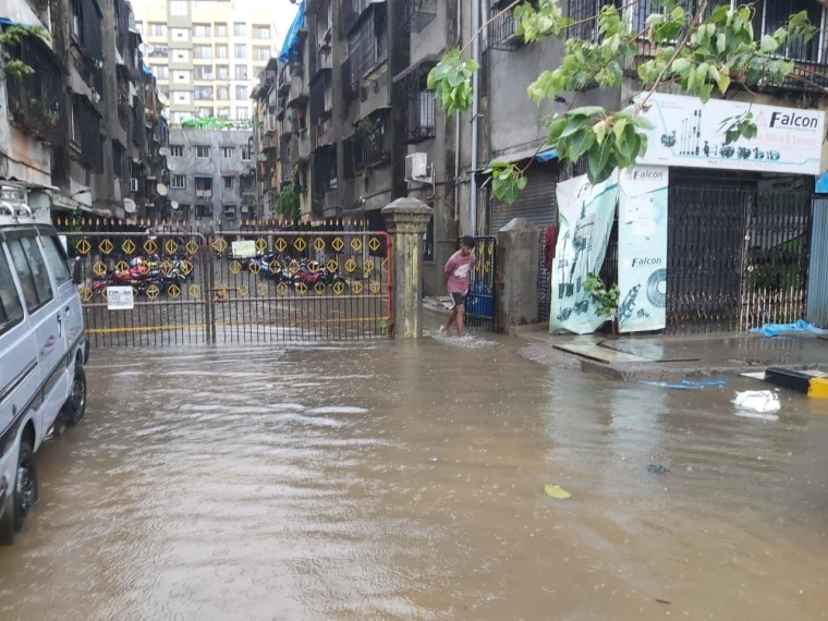Cyclone Tauktae: Gusty winds, heavy rains wreak havoc in Mira Bhayander; trees uprooted, waterlogging reported in