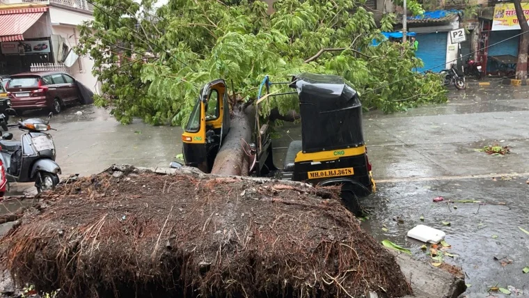 Cyclone Tauktae: Gusty winds, heavy rains wreak havoc in Mira Bhayander; trees uprooted, waterlogging reported in