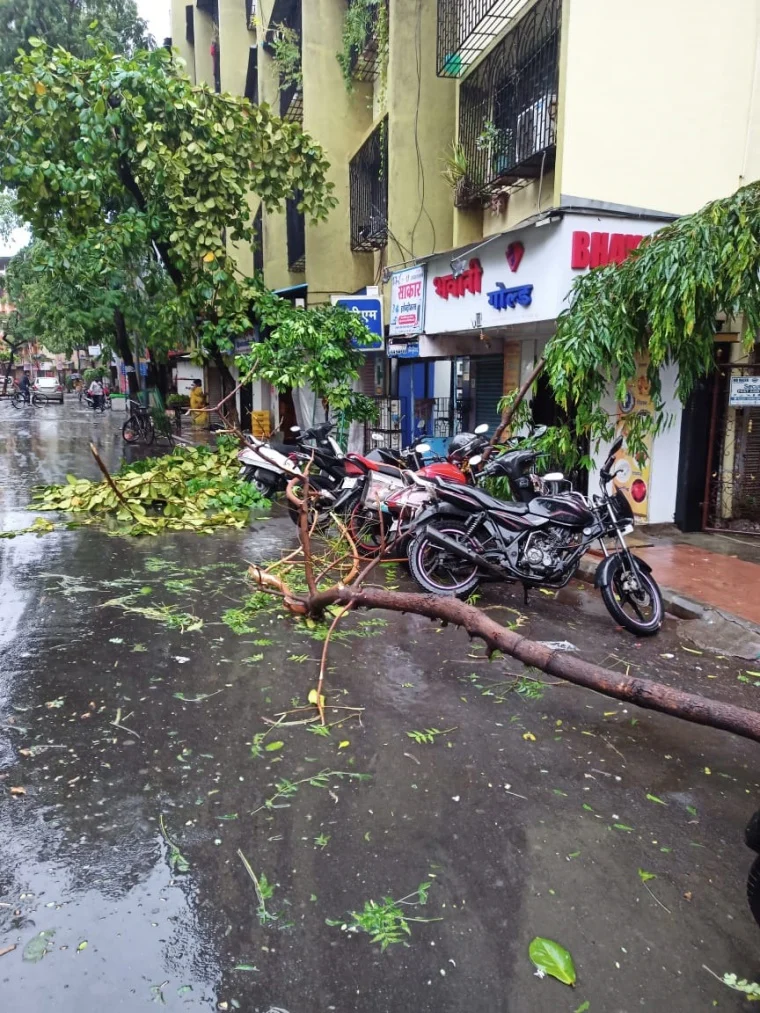 Cyclone Tauktae: Gusty winds, heavy rains wreak havoc in Mira Bhayander; trees uprooted, waterlogging reported in