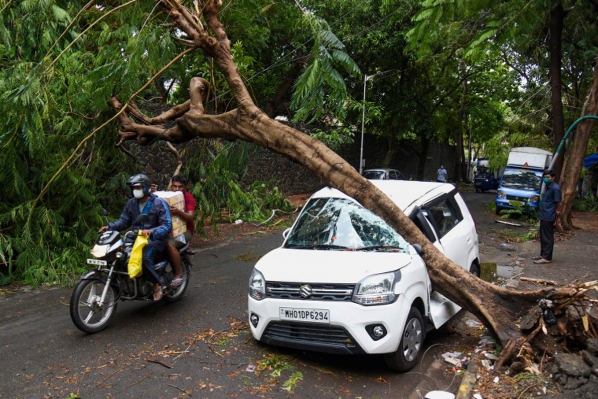 BMC appeal to citizens to book slots for pruning trees before monsoon - Vimarsana News