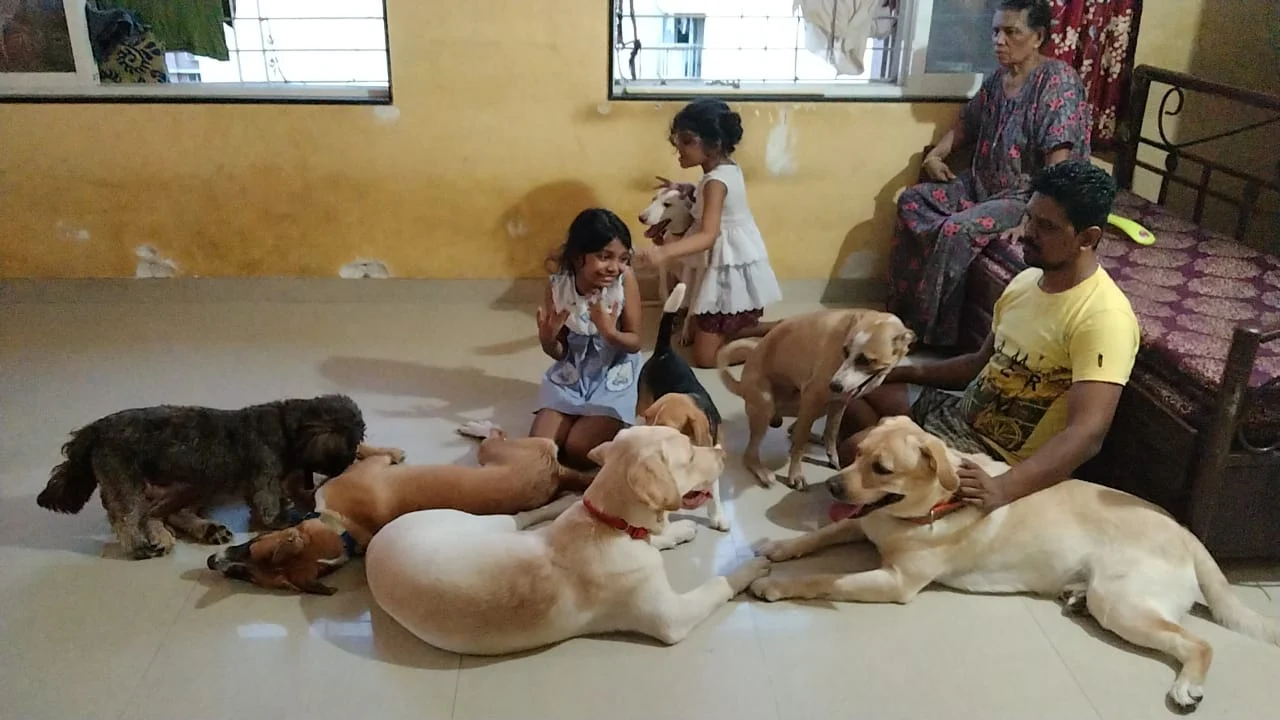 Angels of Mumbai: That’s pawsome! Man provides shelter to dogs whose owners are battling with COVID-19