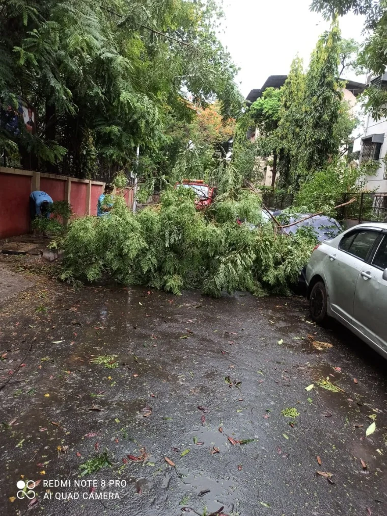 Cyclone Tauktae: Gusty winds, heavy rains wreak havoc in Mira Bhayander; trees uprooted, waterlogging reported in