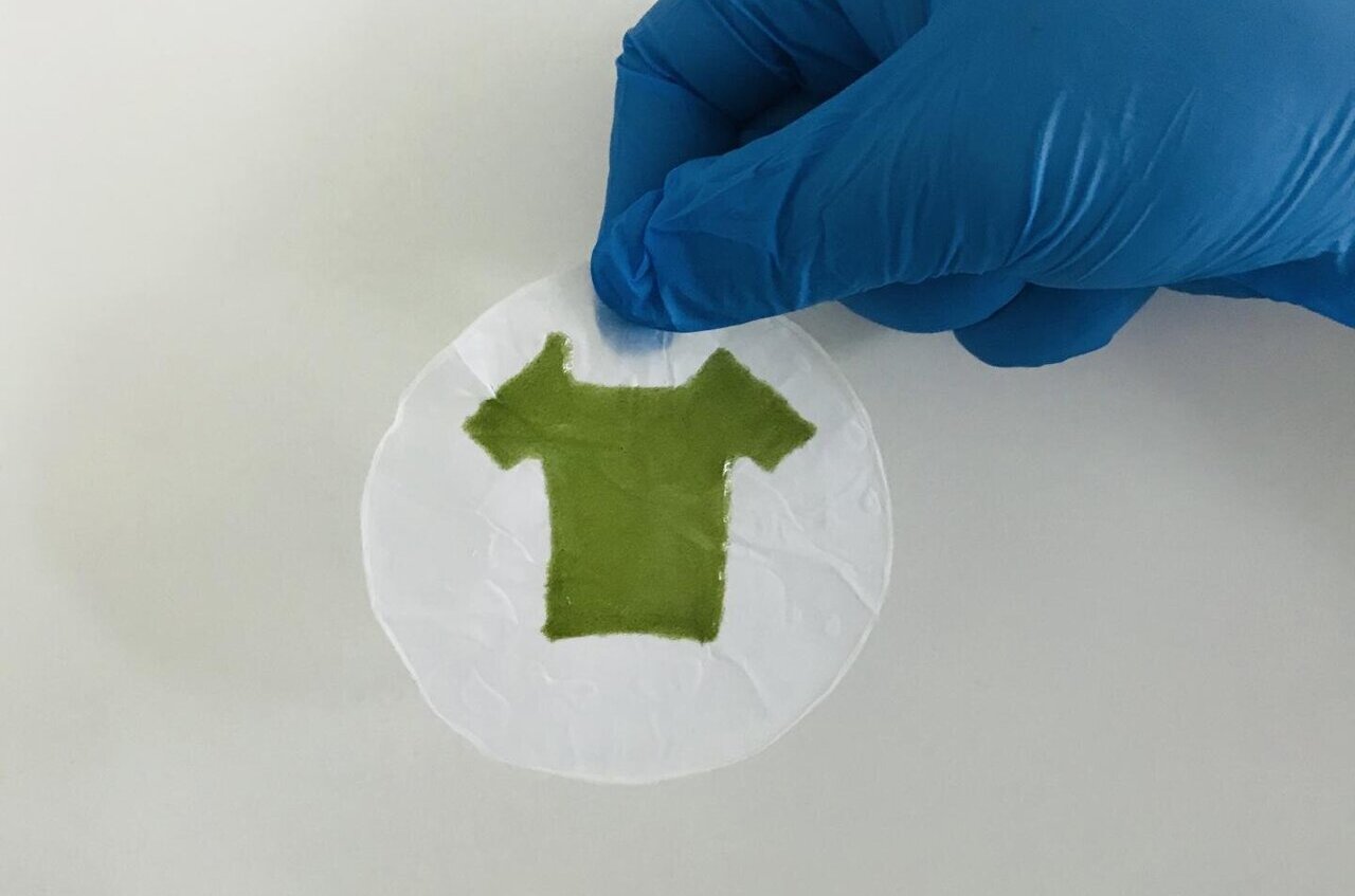 'Living' clothes: Soon, you may see apparels made of algae! - Vimarsana News