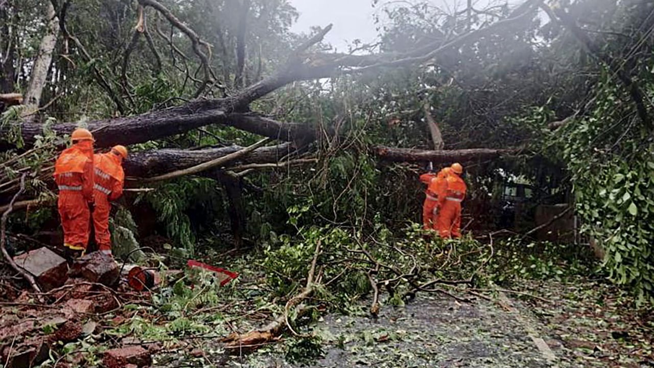 In Pics: Cyclone Tauktae causes destruction in Kerala and Goa