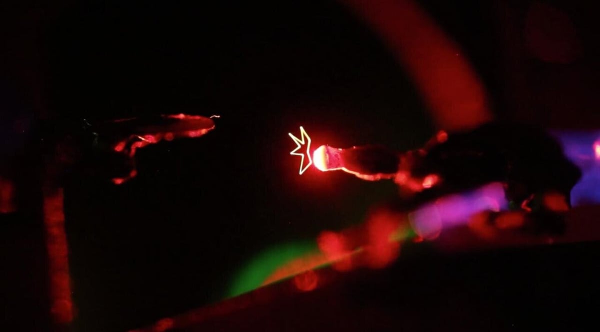 Hologram experts create real-life images that move in the air - Vimarsana News