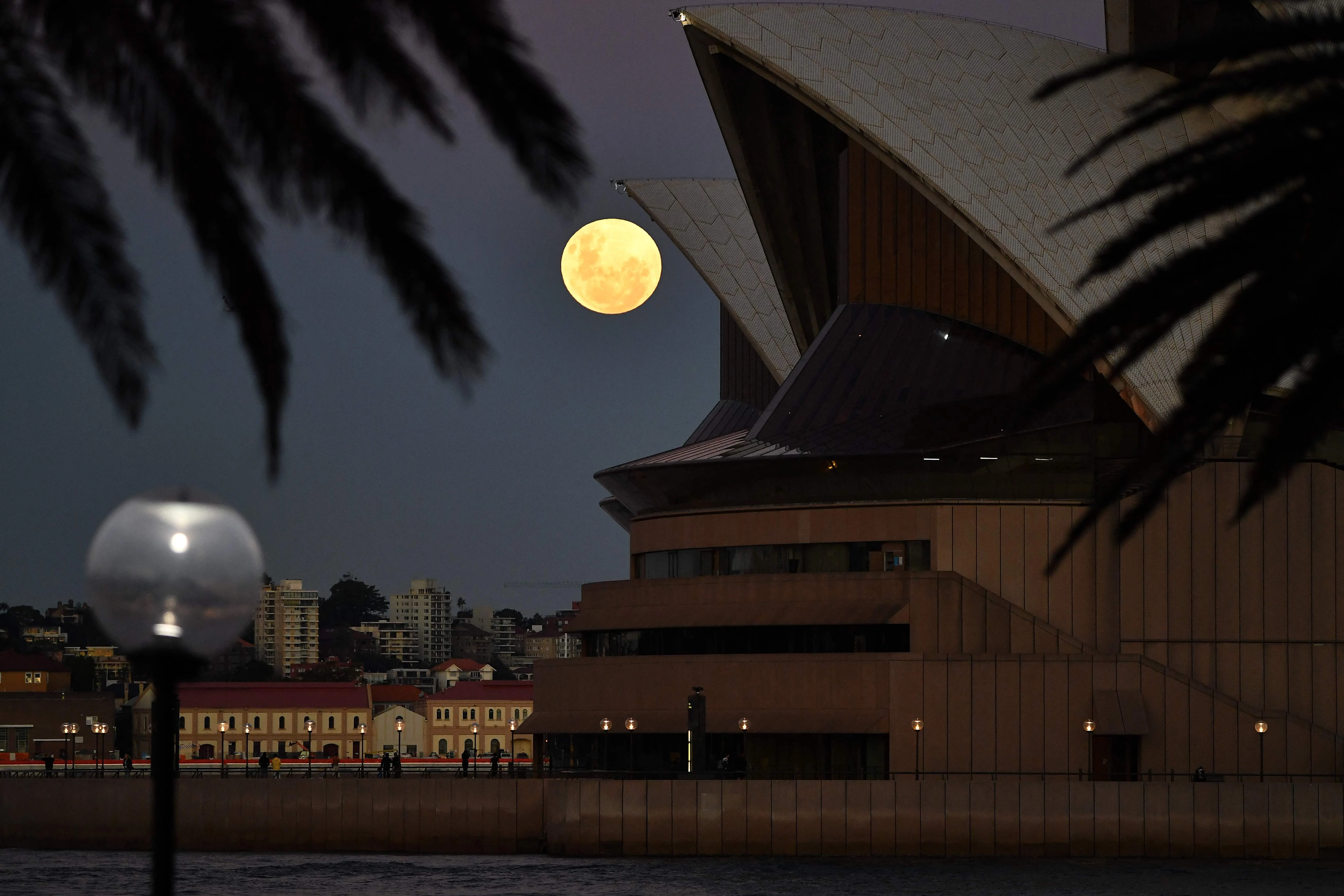 The Moon rises over the Opera House in Sydney on May 26, 2021, ahead of a total lunar eclipse as stargazers across the Pacific are casting their eyes skyward to witness a rare "Super Blood Moon".