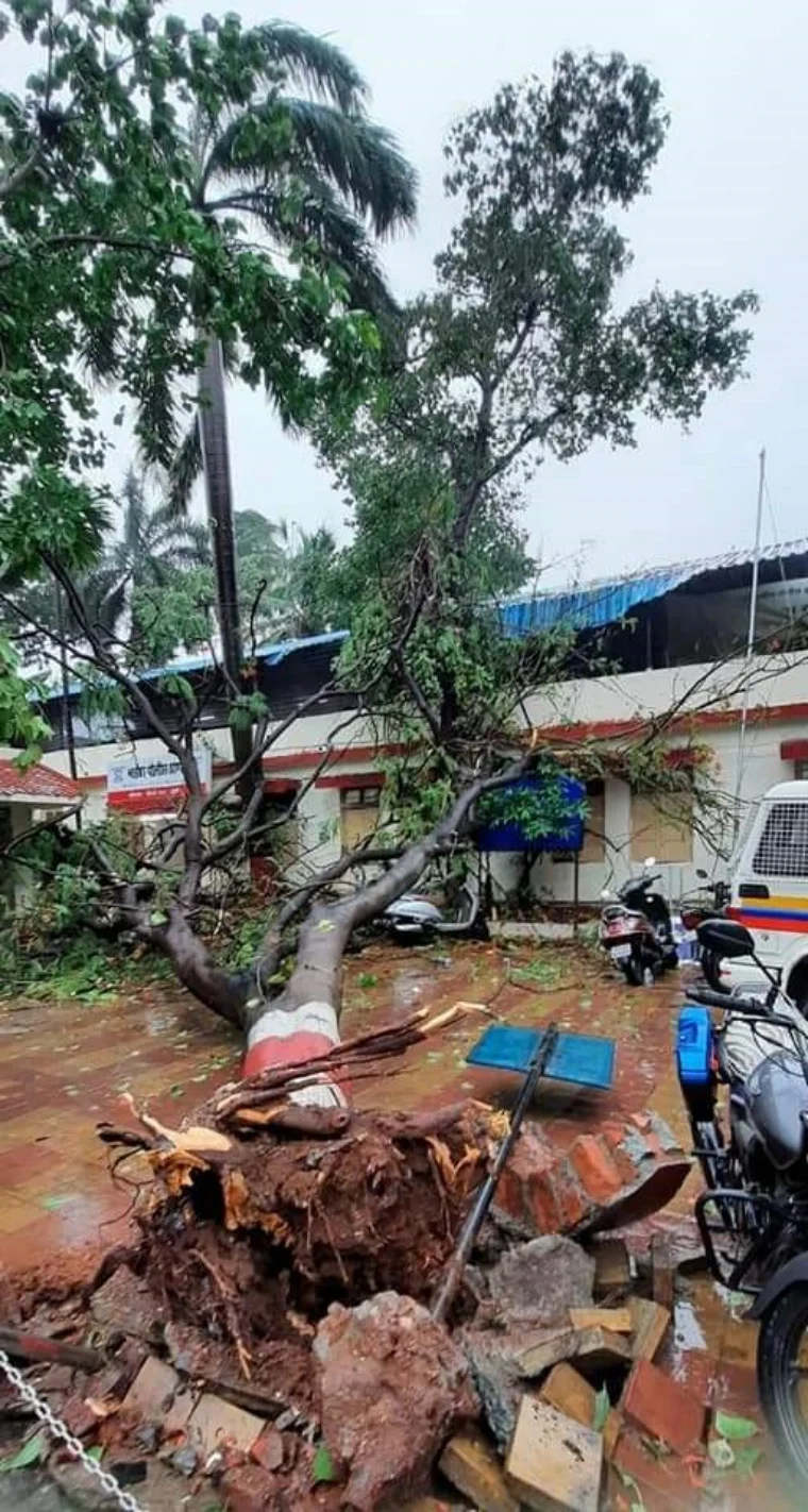 Cyclone Tauktae: Gusty winds, heavy rains wreak havoc in Mira Bhayander; trees uprooted, waterlogging reported in