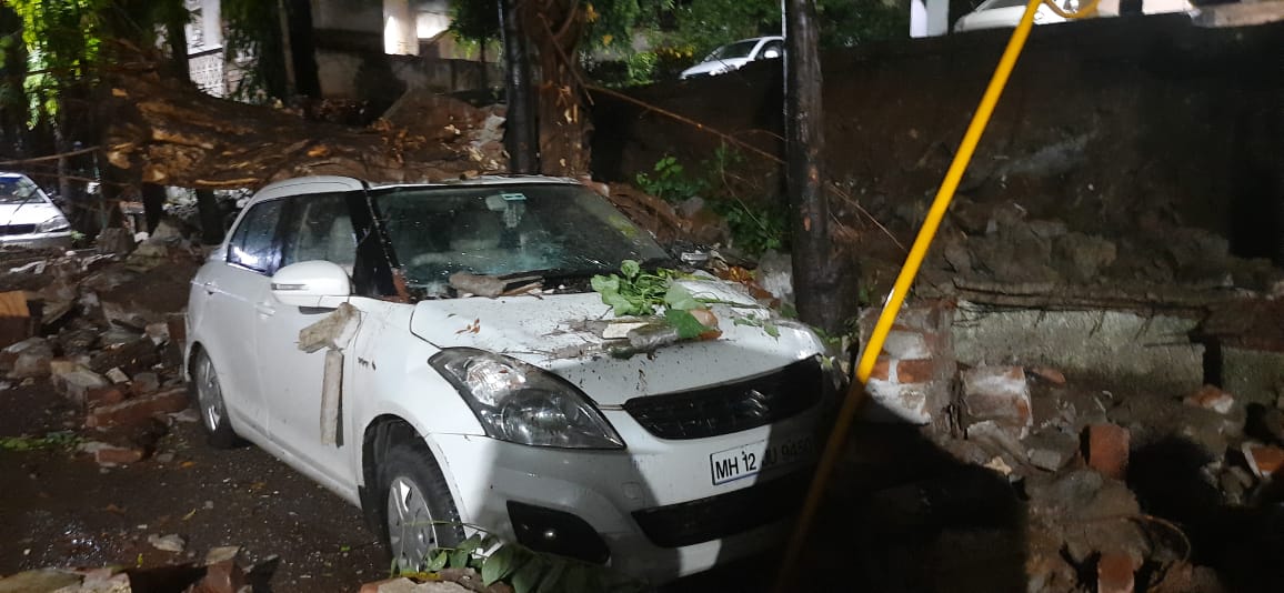 Cyclone Tauktae: 159 complaints of tree fall received in 24 hours in Thane