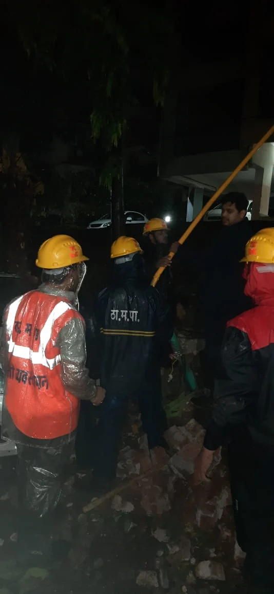 Cyclone Tauktae: 159 complaints of tree fall received in 24 hours in Thane