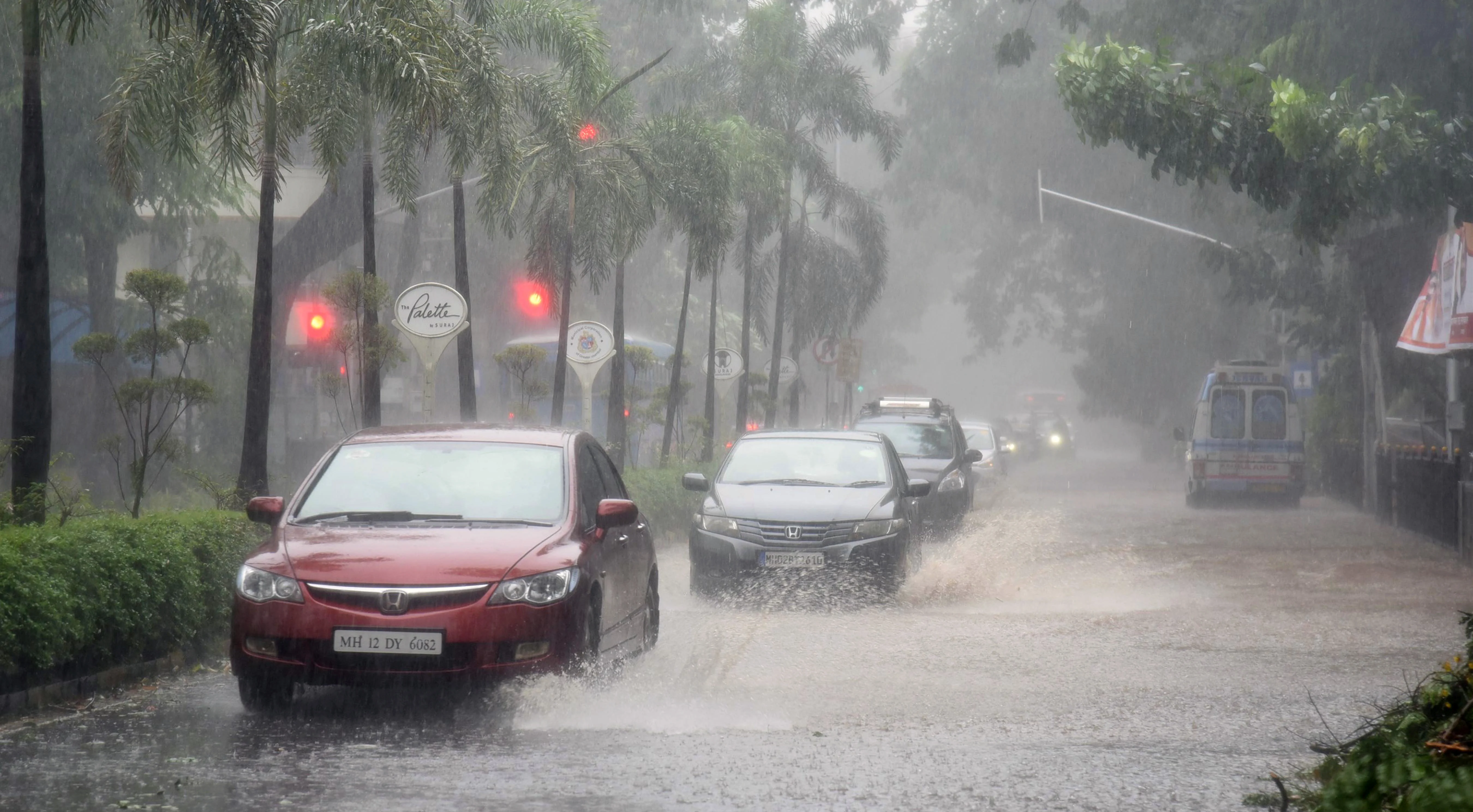 Cyclone Tauktae: Uprooted trees, waterlogging cause traffic snarls across Mumbai -- see pics