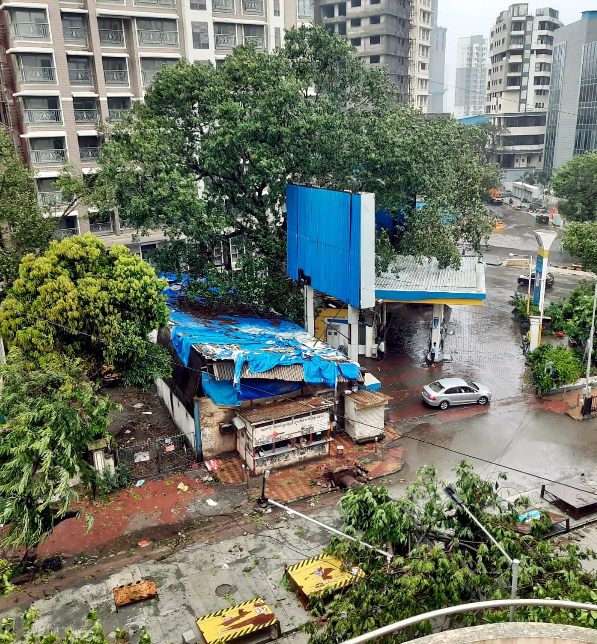 Cyclone Tauktae: Uprooted trees, waterlogging cause traffic snarls across Mumbai -- see pics