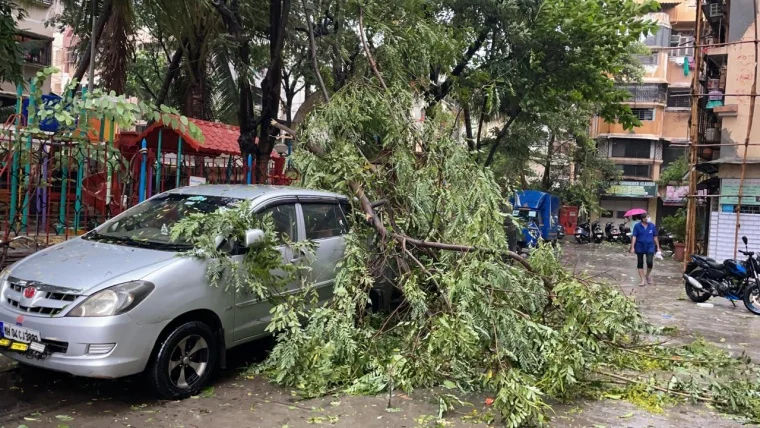 Cyclone Tauktae: Gusty winds, heavy rains wreak havoc in Mira Bhayander; trees uprooted, waterlogging reported in