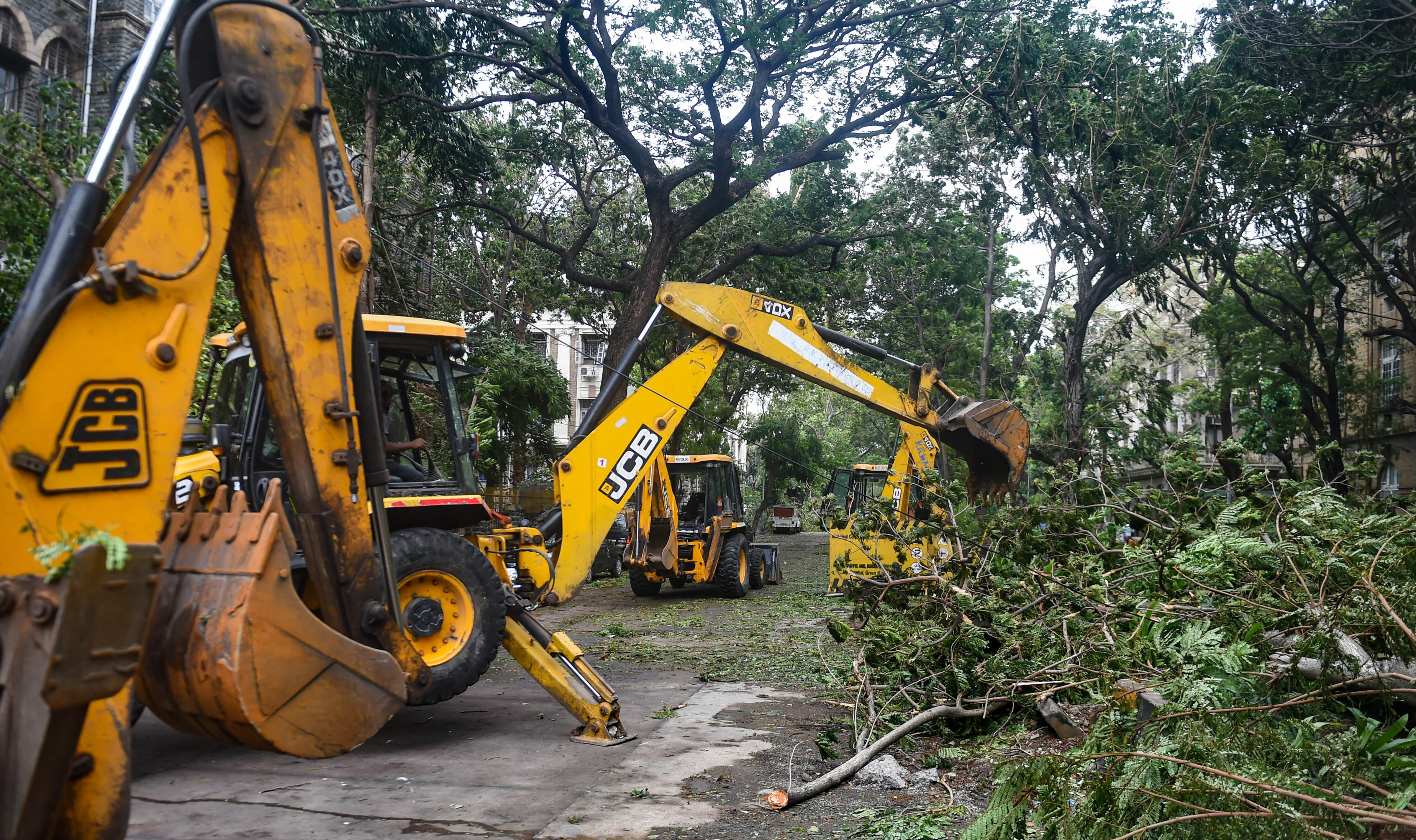 Broken trees branches due to cyclone Tauktae being cleared from a road in Mumbai, Tuesday,