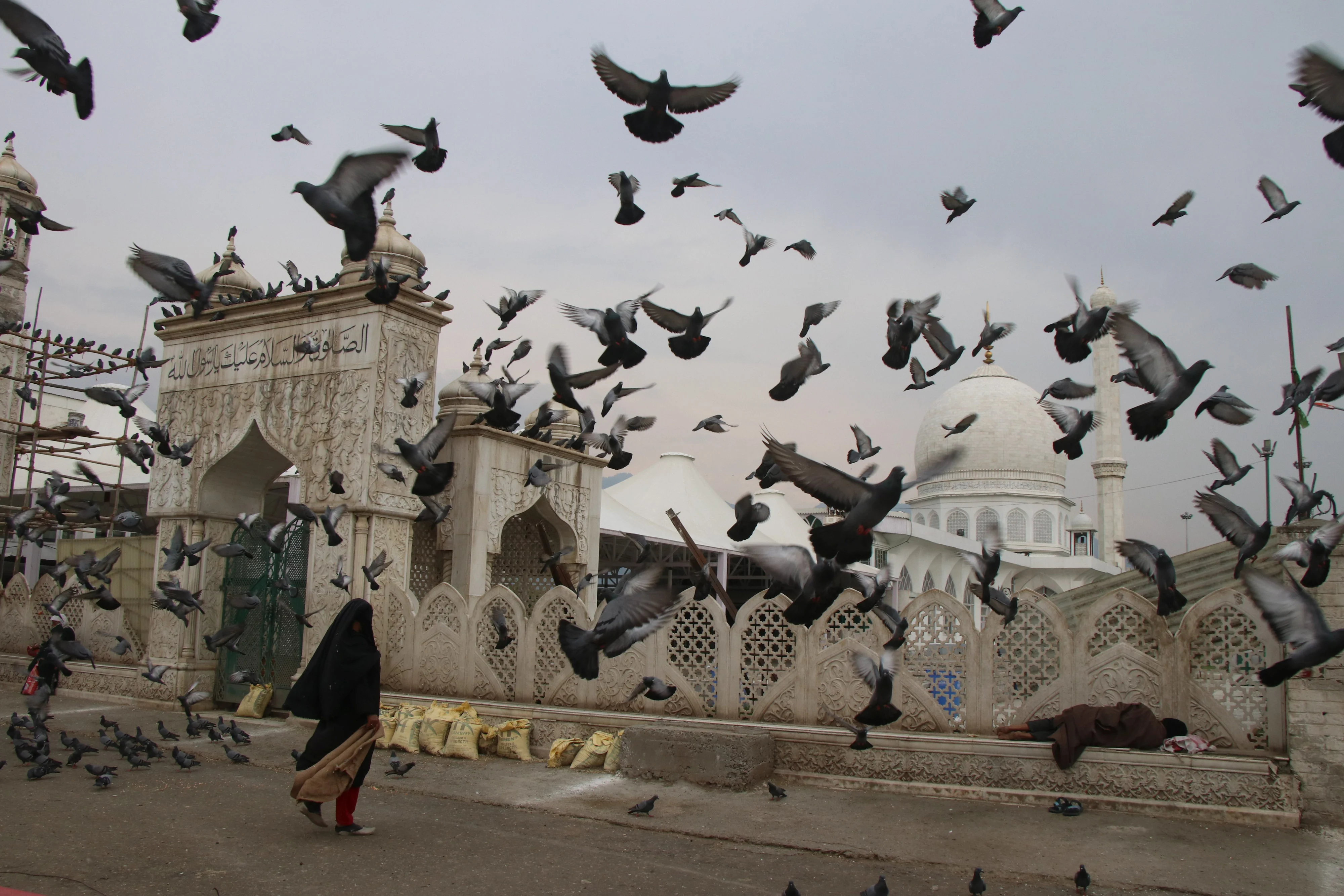 A kashmiri woman feeds pigeons at closed Hazratbal Shrine during Corona curfew in Srinagar, Kashmir. As the COVID-19 cases continue to rise the authorities imposed strict Corona curfew across Jammu and Kashmir in order to stop further spread of Coronavirus.