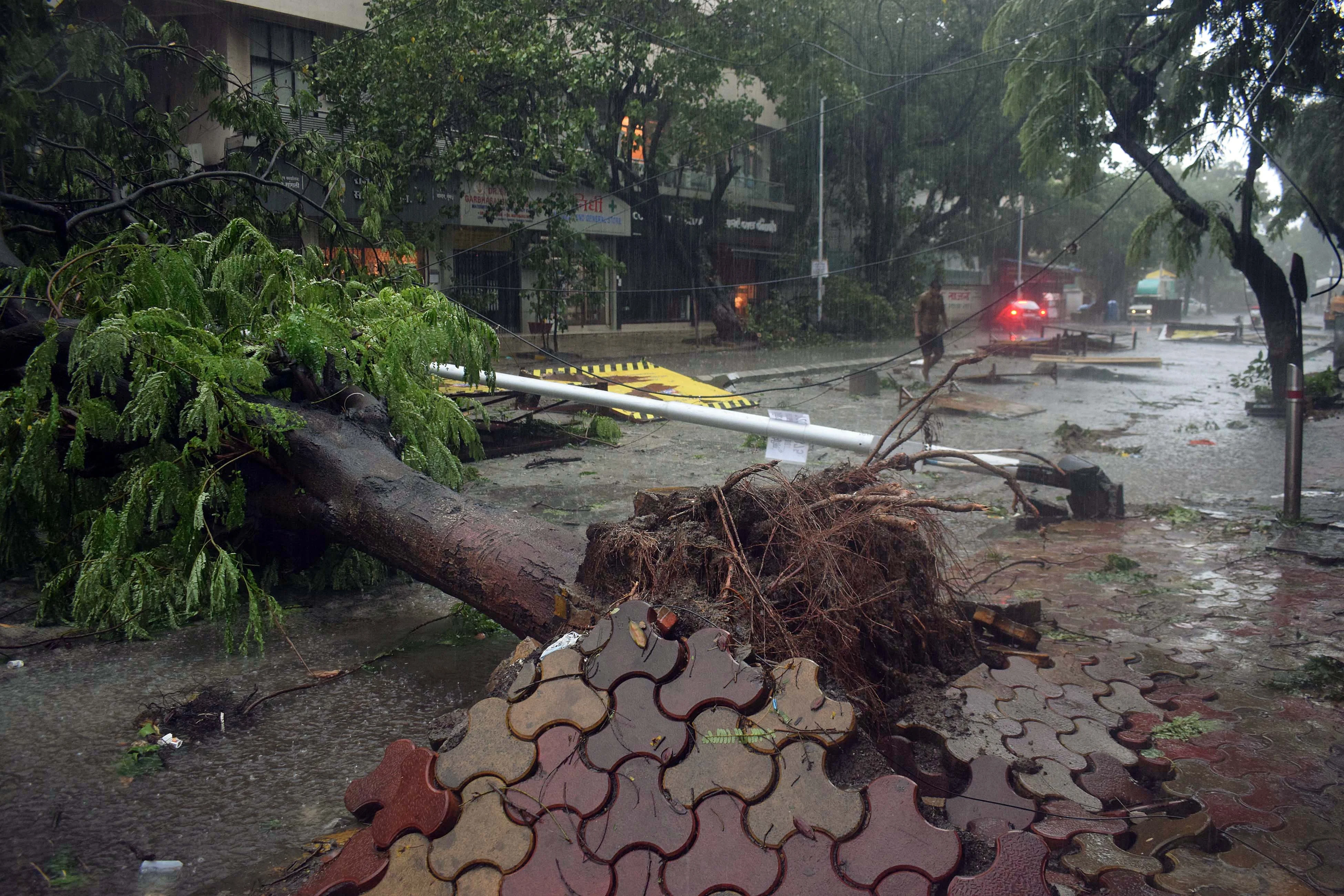 Cyclone Tauktae: Uprooted trees, waterlogging cause traffic snarls across Mumbai -- see pics
