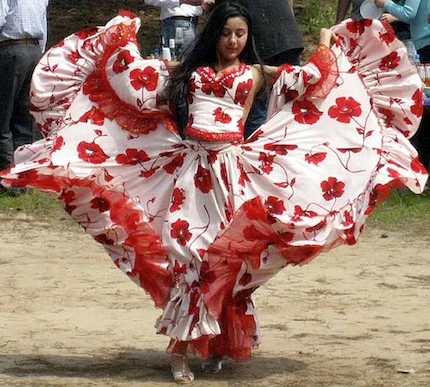Gypsies migrated from India to Europe 1,500 years ago