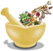 Sanjivani 2013 and exhibition of herbal