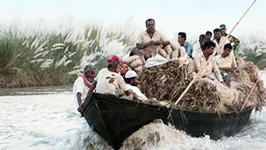 Char – The No Man’s Island: A Touching Story Of Displacement