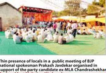 BJP stalwarts for poll campaigning