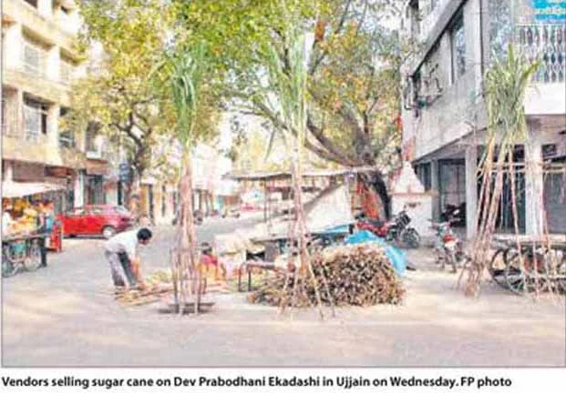 Dev Prabodhani Ekadashi celebrated with gaiety