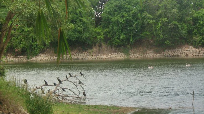 Karanji Lake<br />Picture credits: www.holidayiq.com