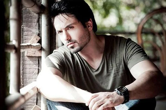 Zayed Khan to Aashish Chaudhary: 10 flop Bollywood actors who switched to Television