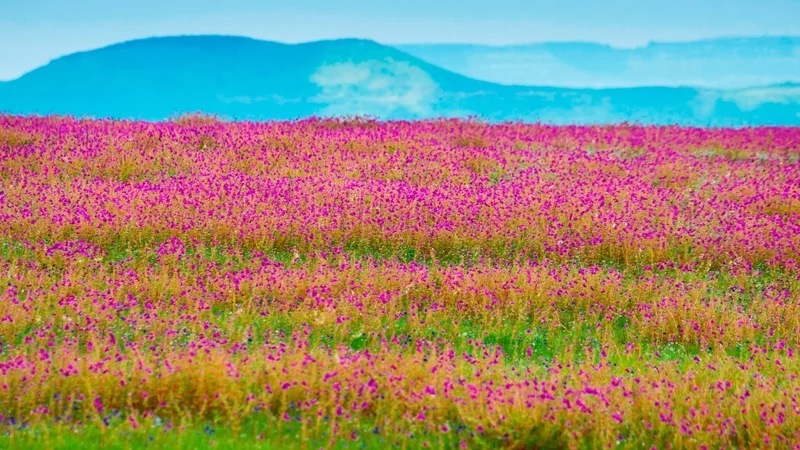 2018 has 15 long weekends, here’s where to spend them