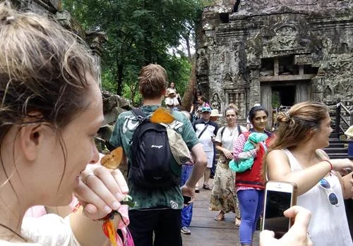 Butterflies, nature and ancient ruins