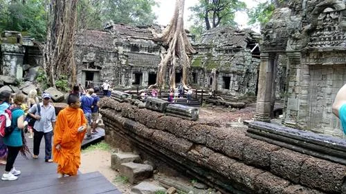 Mysterious Ta Prohm